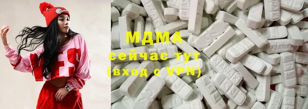 индика Заволжье
