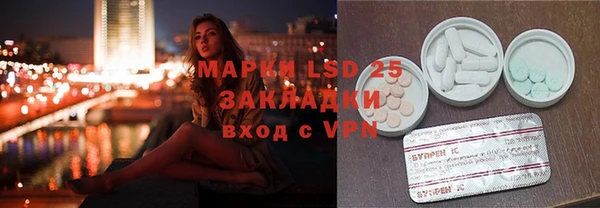 индика Заволжье