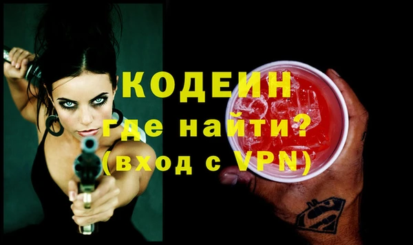 индика Заволжье