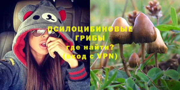эйфоретик Зерноград