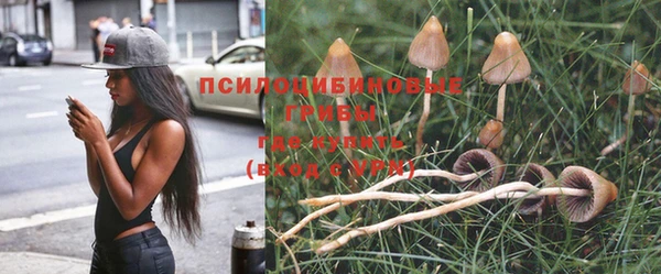 mdpv Заводоуковск