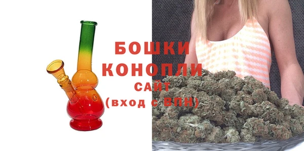 индика Заволжье
