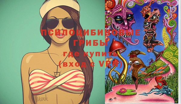индика Заволжье