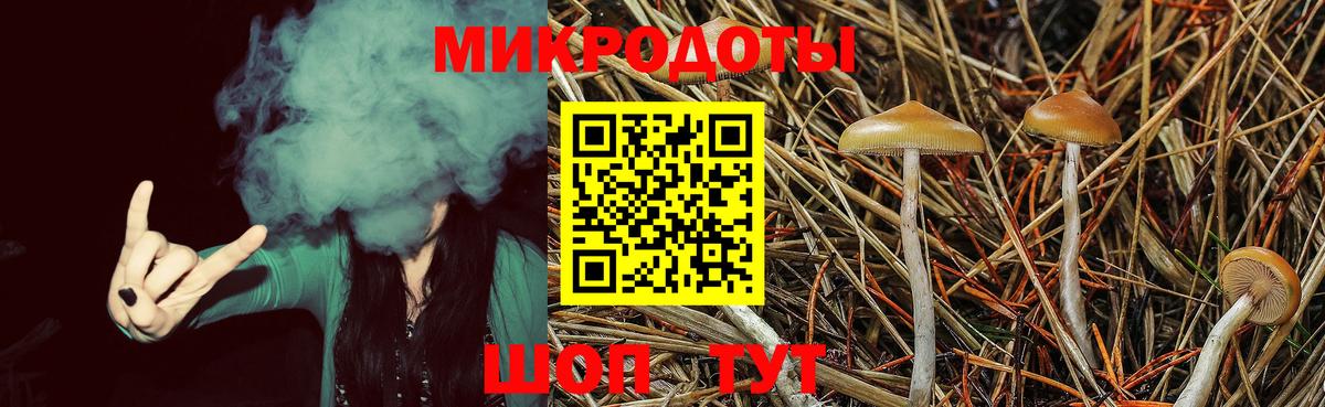 Галлюциногенные грибы прущие грибы Кандалакша