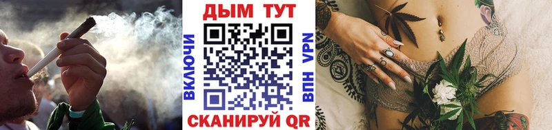 Каннабис планчик  мега онион  Кандалакша 